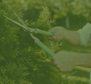 Gardening